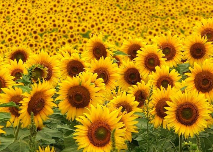 1638424655694535.jpg 1638424655694535.jpg