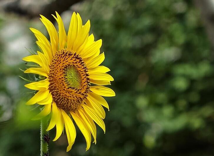 1638424700213394.jpg 1638424700213394.jpg