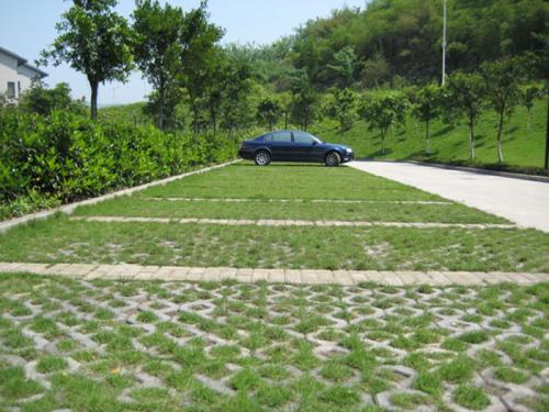 1638492779881411.jpg 1638492779881411.jpg