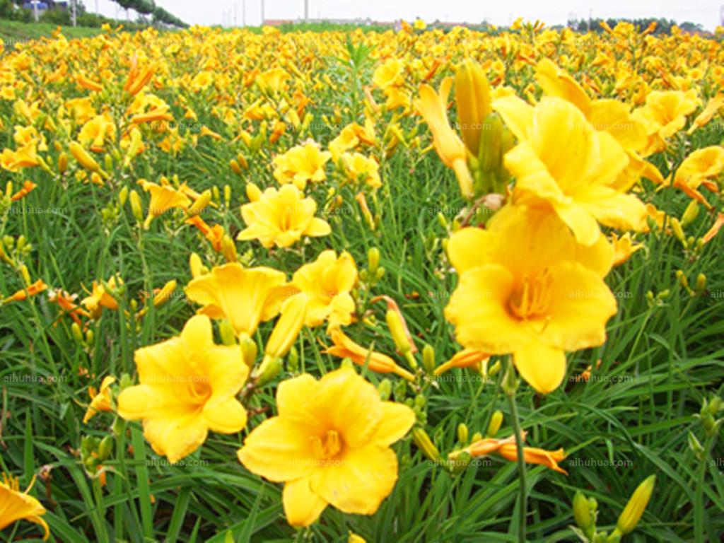 1638493268792161.jpg 1638493268792161.jpg