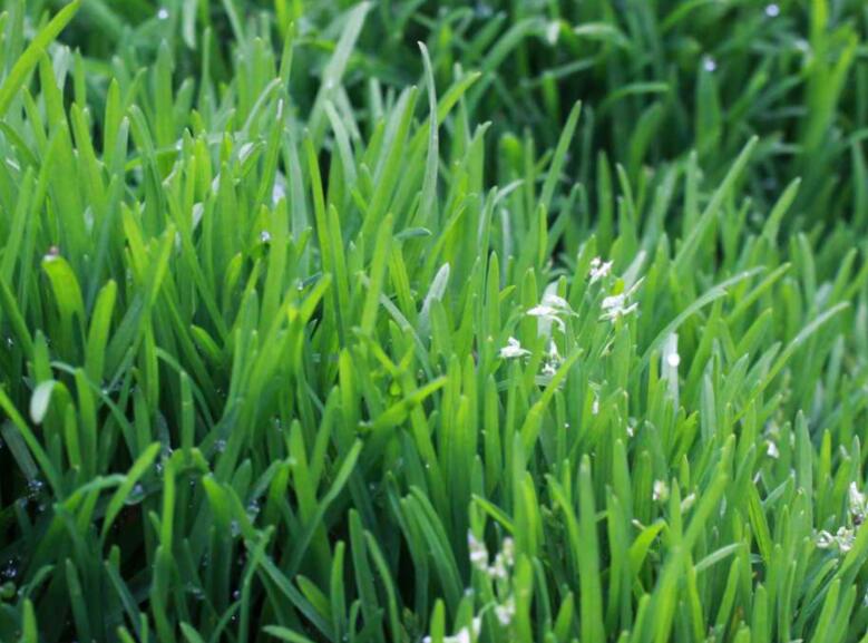 1638770021667743.jpg 1638770021667743.jpg