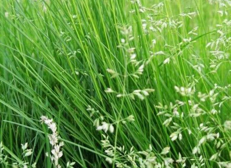 1638770039201499.jpg 1638770039201499.jpg