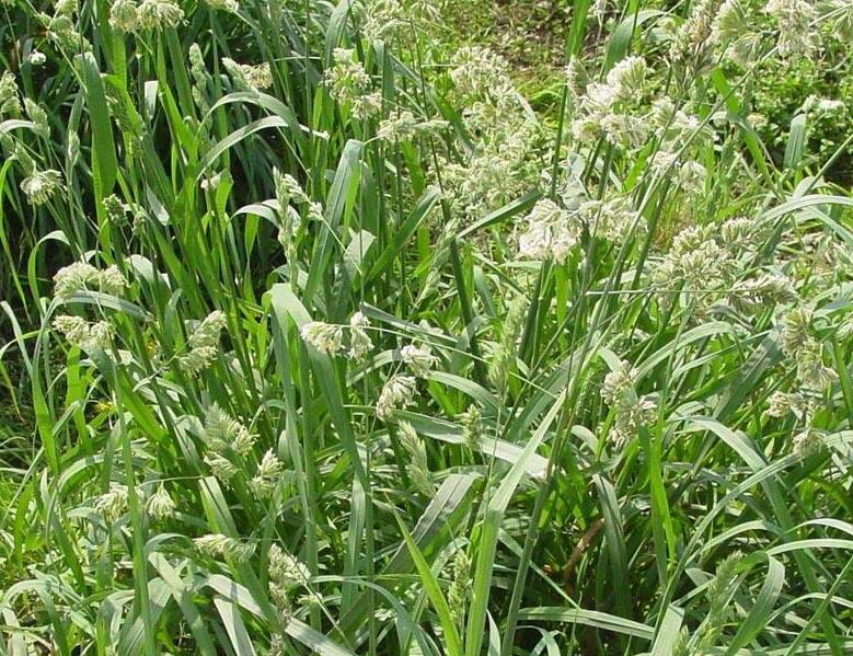 1638770047285985.jpg 1638770047285985.jpg