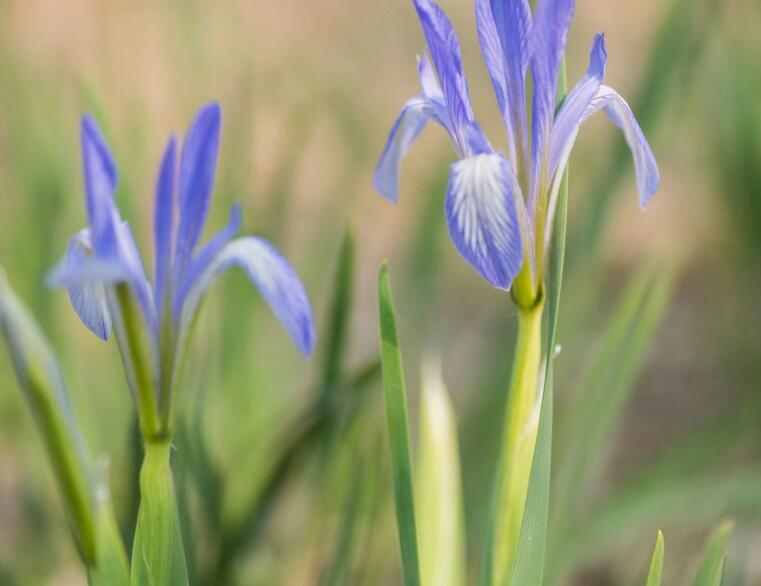 1638774209522842.jpg 1638774209522842.jpg