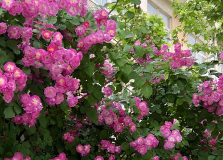 1638776934740536.jpg 1638776934740536.jpg