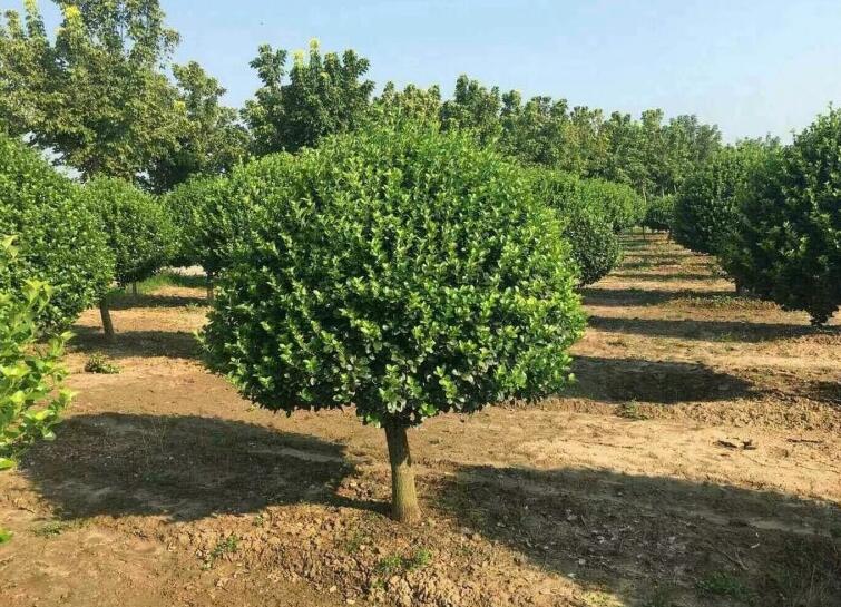 1638896486999345.jpg 1638896486999345.jpg