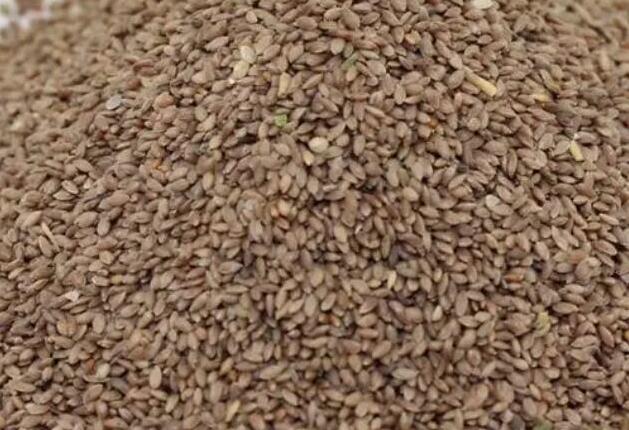 1639104994500498.jpg 1.jpg