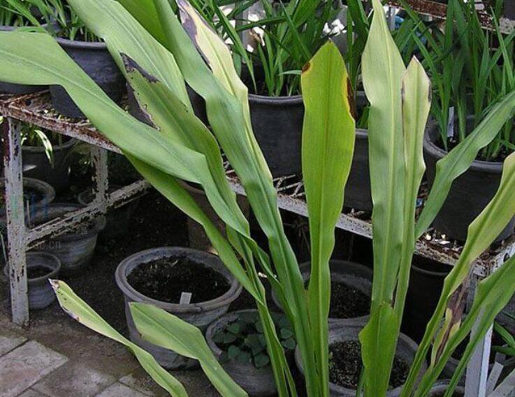 1639198649115011.jpg 開口見3333333333333333333.jpg