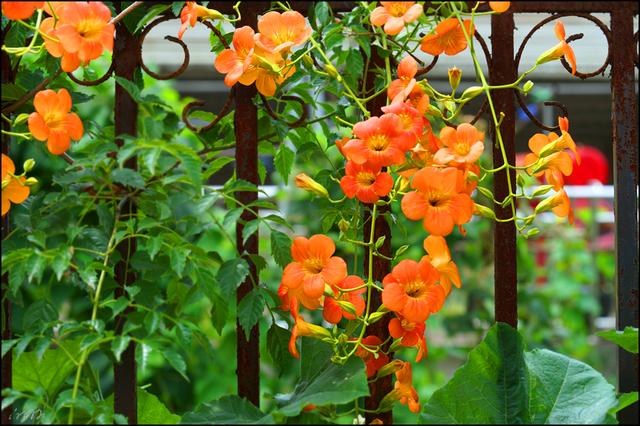 1639218364691970.jpg 1639218364691970.jpg