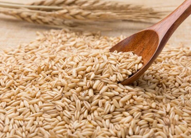 1639462126663221.jpg 1639462126663221.jpg