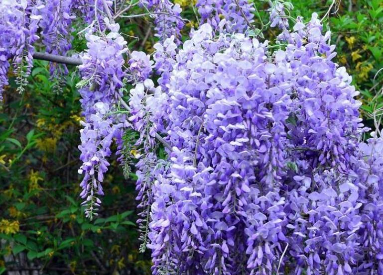 1639465410313744.jpg 1639465410313744.jpg