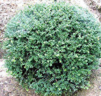 1639476622706111.jpg 1639476622706111.jpg