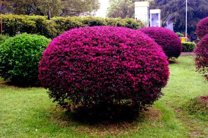 1639553056814984.jpg 1639553056814984.jpg