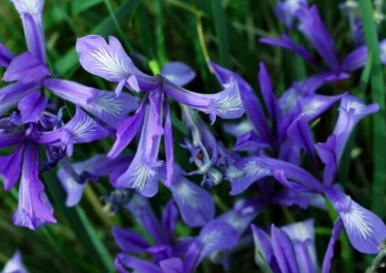 1639839505386882.jpg 1639839505386882.jpg