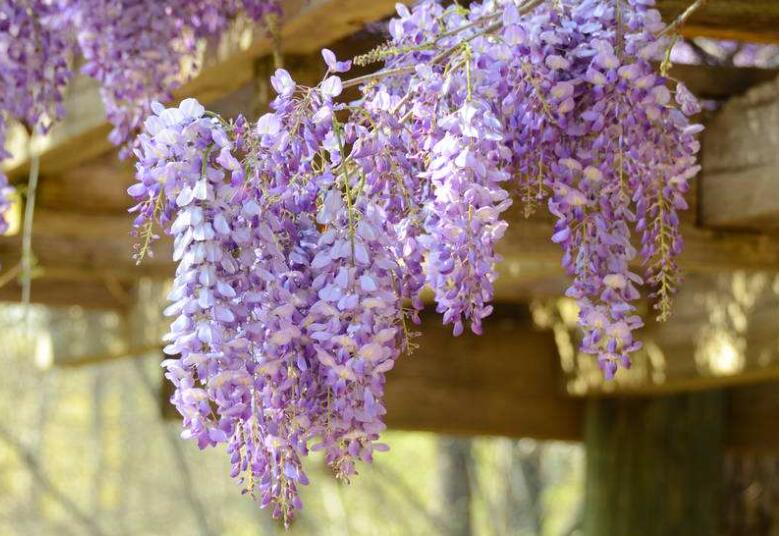 1639876665724538.jpg 1639876665724538.jpg