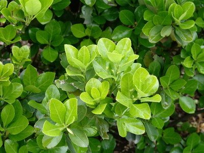 1639909410464850.jpg 1639909410464850.jpg