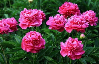 1639911318226530.jpg 1639911318226530.jpg