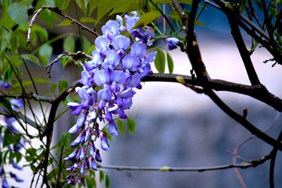 1639912537419101.jpg 1639912537419101.jpg