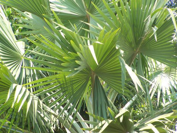 1639912764462630.jpg 1639912764462630.jpg