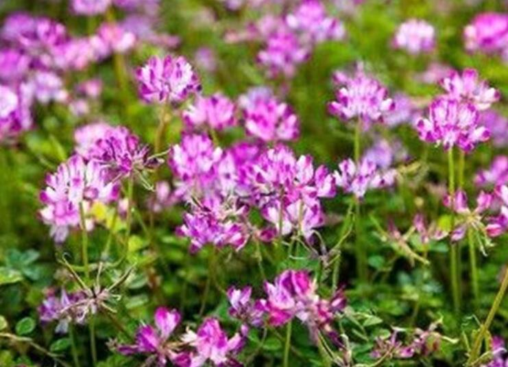 1639983558393618.jpg 1639983558393618.jpg