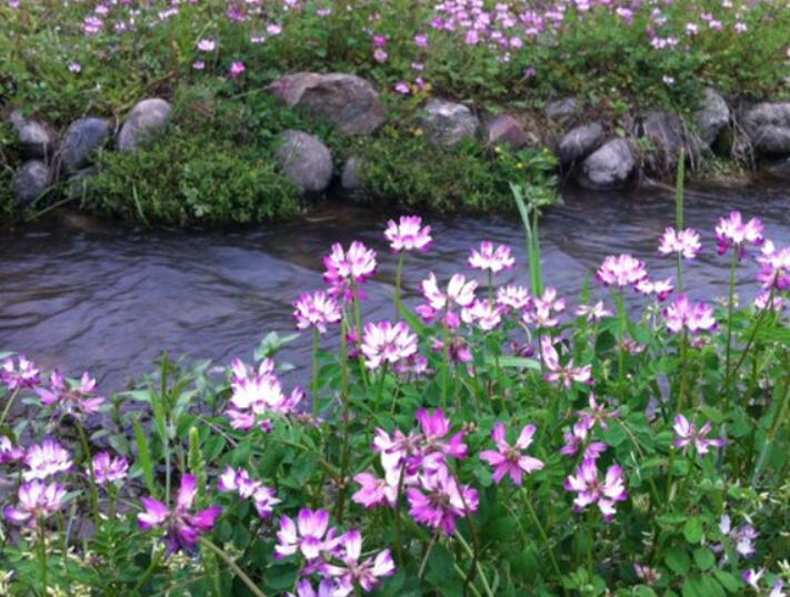 1639983584745440.jpg 1639983584745440.jpg