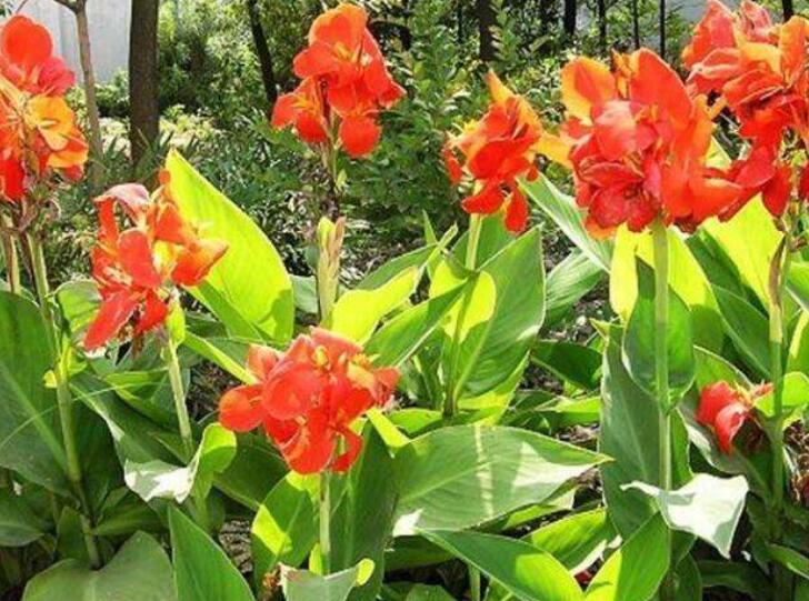 1640009429403211.jpg 1640009429403211.jpg