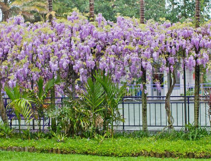 1640010891352969.jpg 1640010891352969.jpg