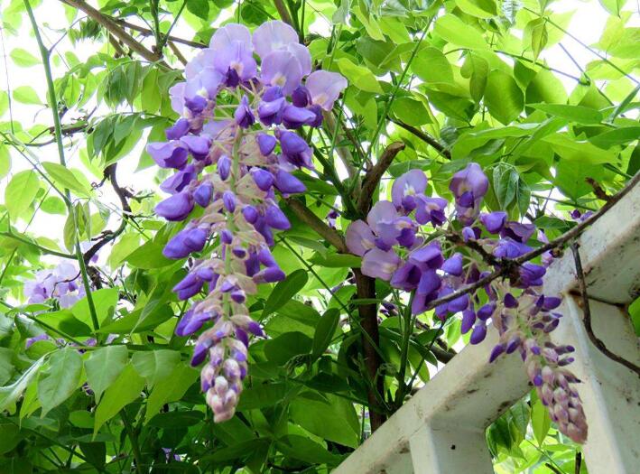 1640010908885001.jpg 1640010908885001.jpg