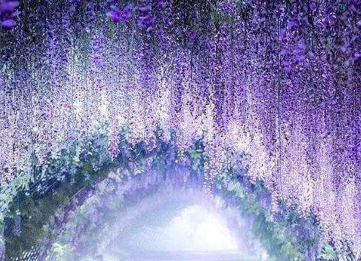 1640010916489051.jpg 1640010916489051.jpg