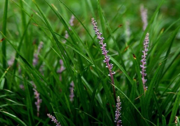 1640064390637089.png 1640064390637089.png