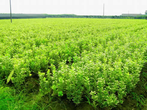 1640071596680804.jpg 1640071596680804.jpg