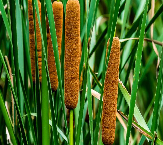 1640072420701506.jpg 1640072420701506.jpg