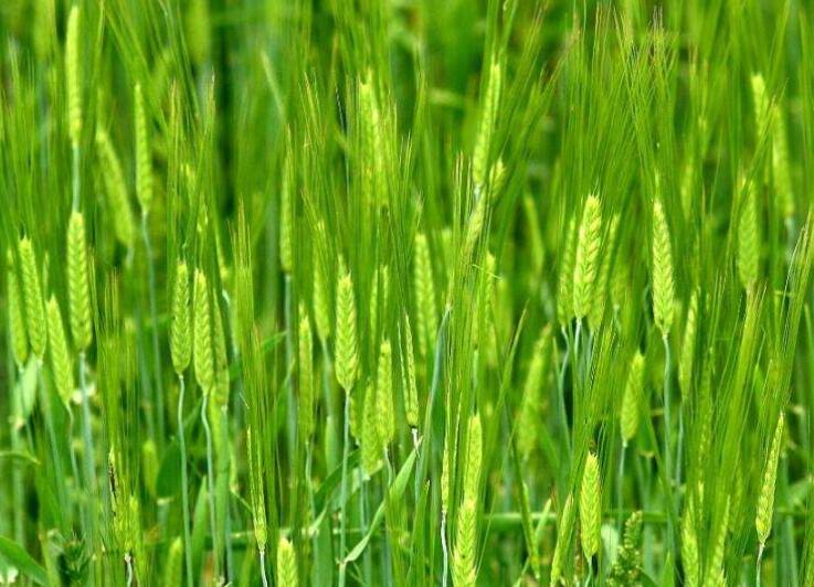 1640101803810821.jpg 1640101803810821.jpg