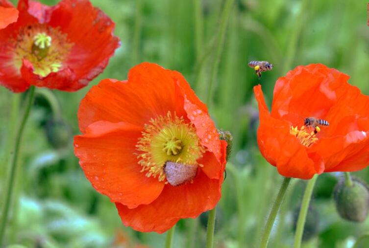 1640136811373374.jpg 1640136811373374.jpg