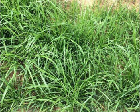 1640157382360390.jpg 1640157382360390.jpg