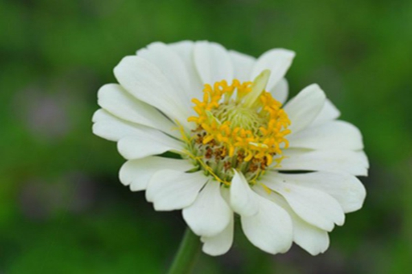 1640171998319833.jpg 1640171998319833.jpg