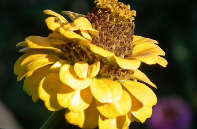 1640171998440054.jpg 1640171998440054.jpg