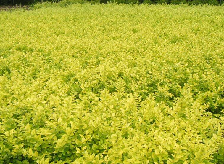 1640237557616831.jpg 1640237557616831.jpg