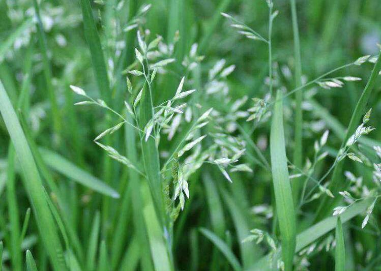 1640244557321357.jpg 1640244557321357.jpg