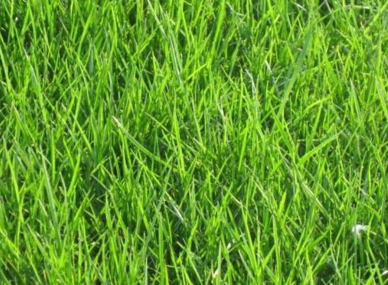 1640244943847474.jpg 1640244943847474.jpg