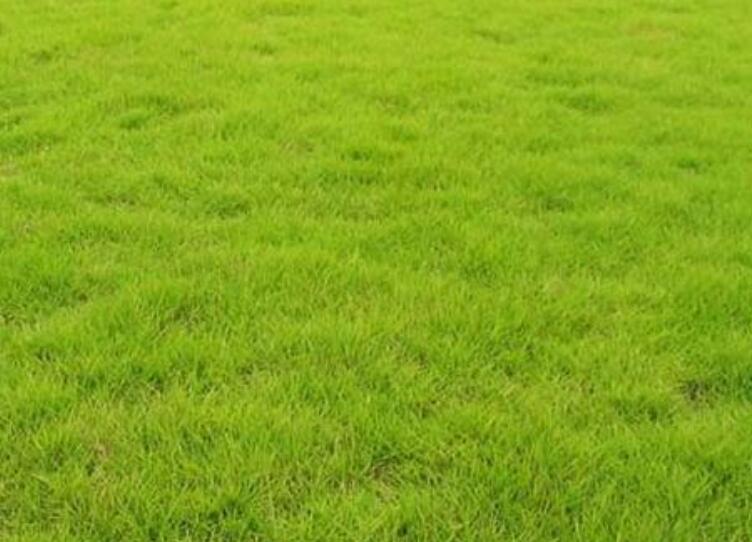 1640244963582682.jpg 1640244963582682.jpg