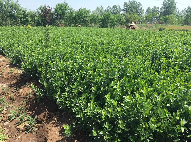 1640316767559773.jpg 1640316767559773.jpg