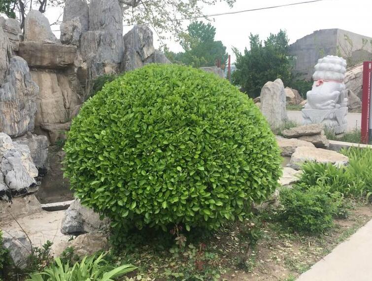 1640317094381957.jpg 1640317094381957.jpg