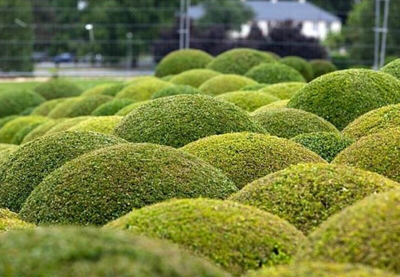 1640317094619956.jpg 1640317094619956.jpg