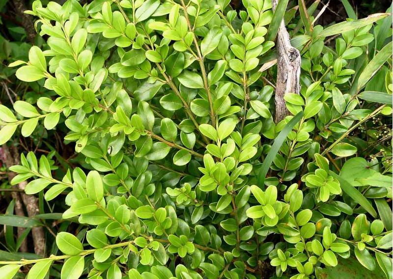 1640319365662909.jpg 1640319365662909.jpg