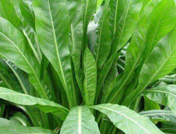 1640329156631687.jpg 1640329156631687.jpg