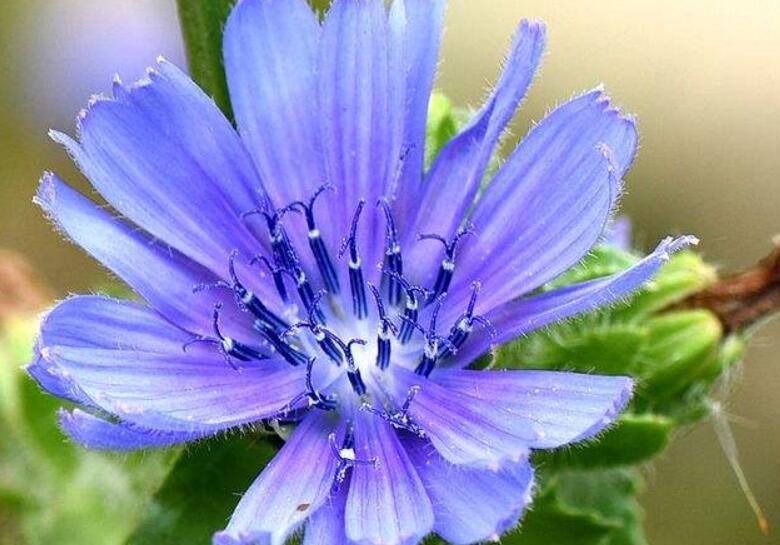 1640329167147847.jpg 1640329167147847.jpg