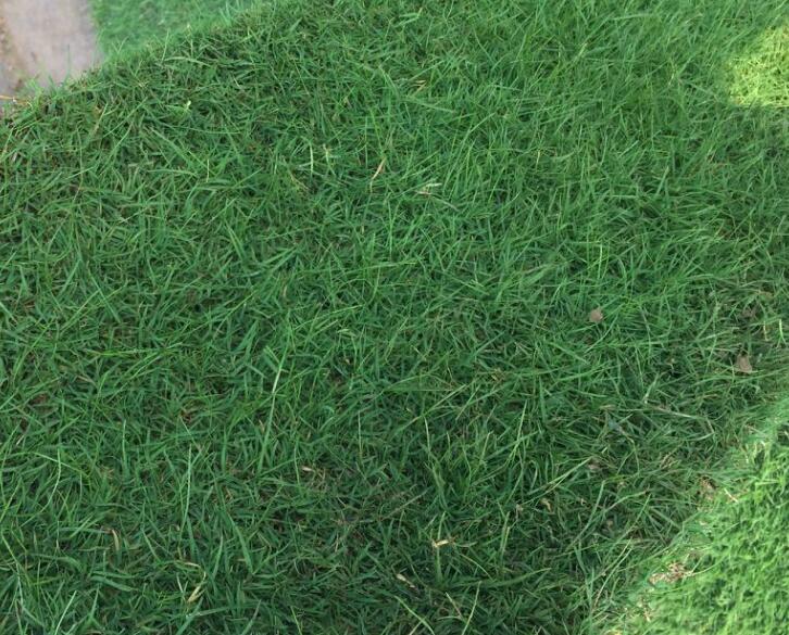 1640414017579638.jpg 1640414017579638.jpg