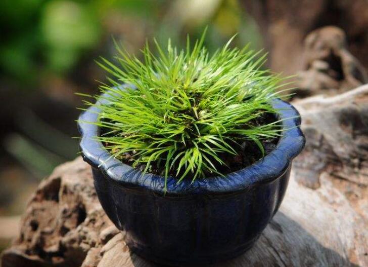 1640432076403308.jpg 1640432076403308.jpg