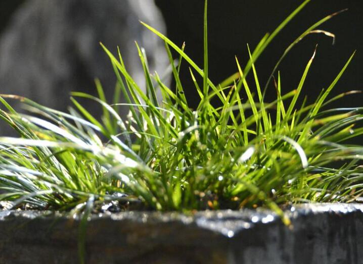 1640432083401381.jpg 1640432083401381.jpg